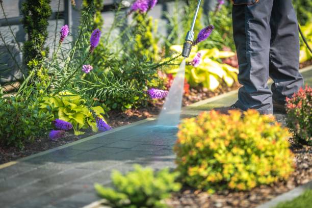 Best Spring Cleaning  in Port St John, FL